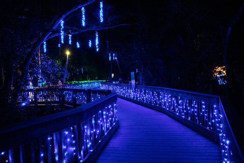 Blue Christmas lights