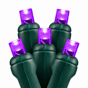 purple 5mm LED Christmas lights
