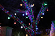 Multi colored lights in tree