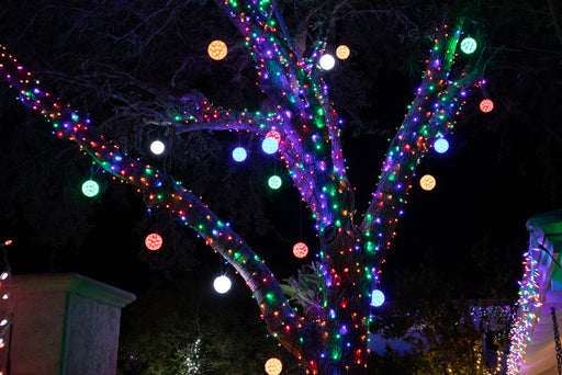 Branch wrapped 5mm multi colored lights