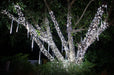 Branch wrapped 5mm LED lights