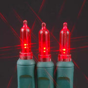 T5 50 count LED Christmas Lights RED
