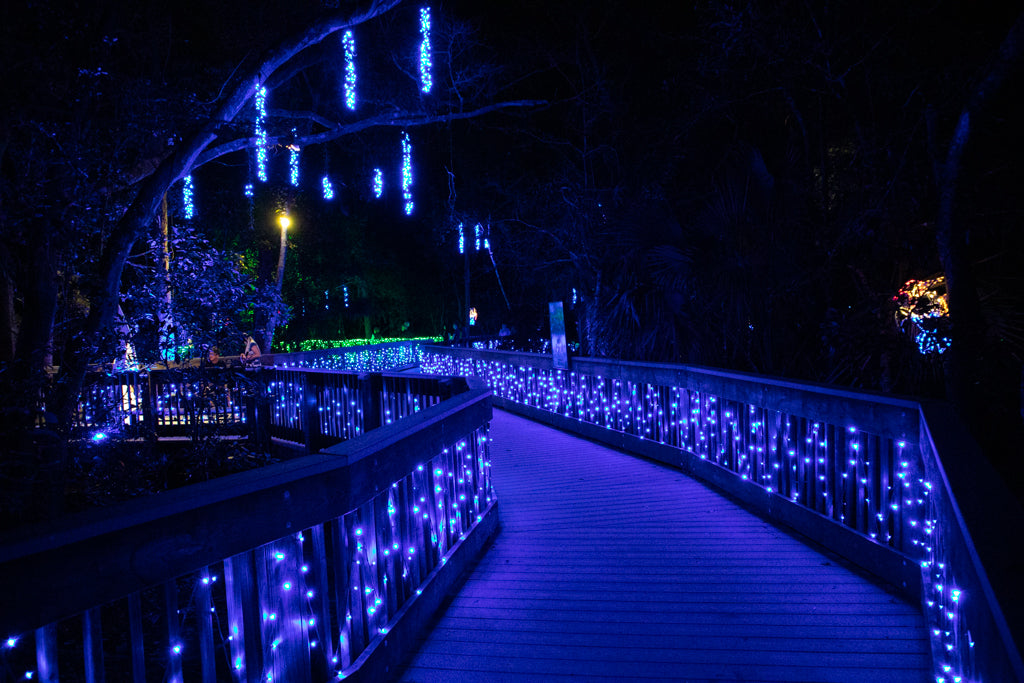 Blue Christmas lights on path