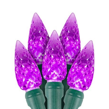 Purple 100 count c6 LED lights