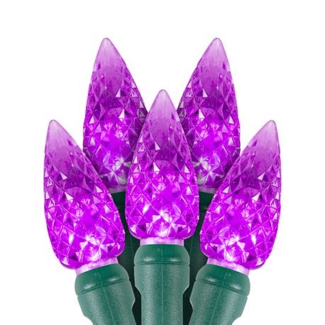 Purple LED Christmas lights C6 style with 50 lights