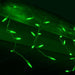 M5 70L Icicle Lights Green GREEN WIRE