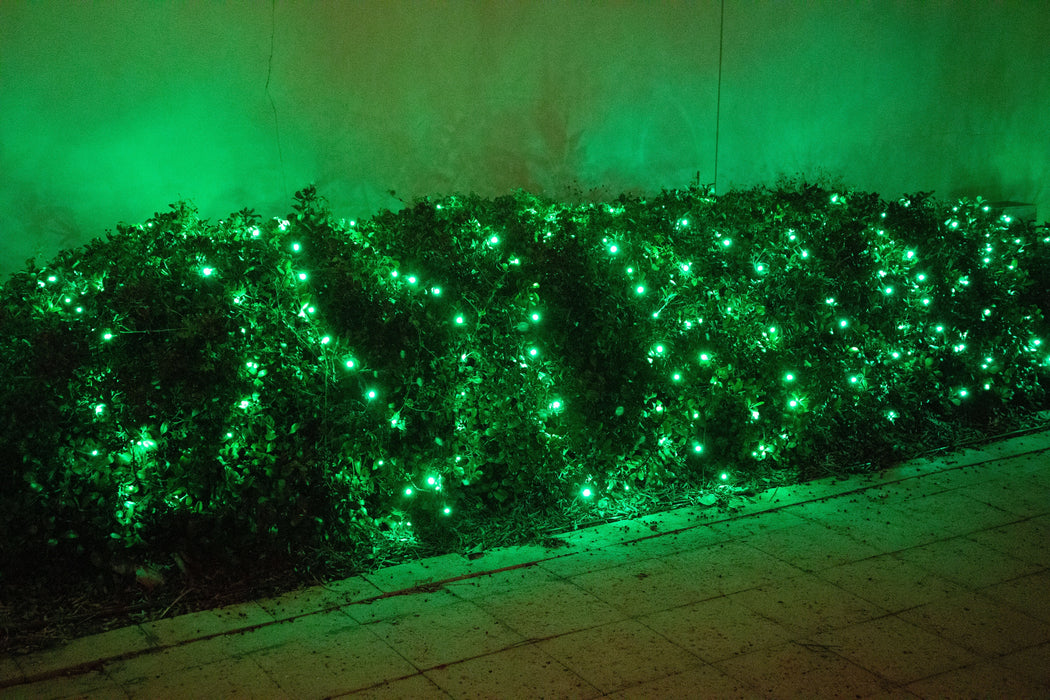 green 5mm LED lights on bush