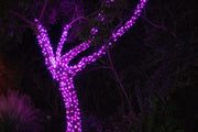 pink LED Christmas lights in tree