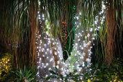5mm pure white Christmas lights