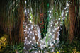 pure white LED Christmas lights