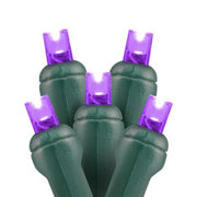 purple 5mm LED Christmas lights 70L