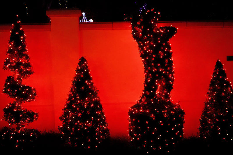 Red LED Christmas tree lights
