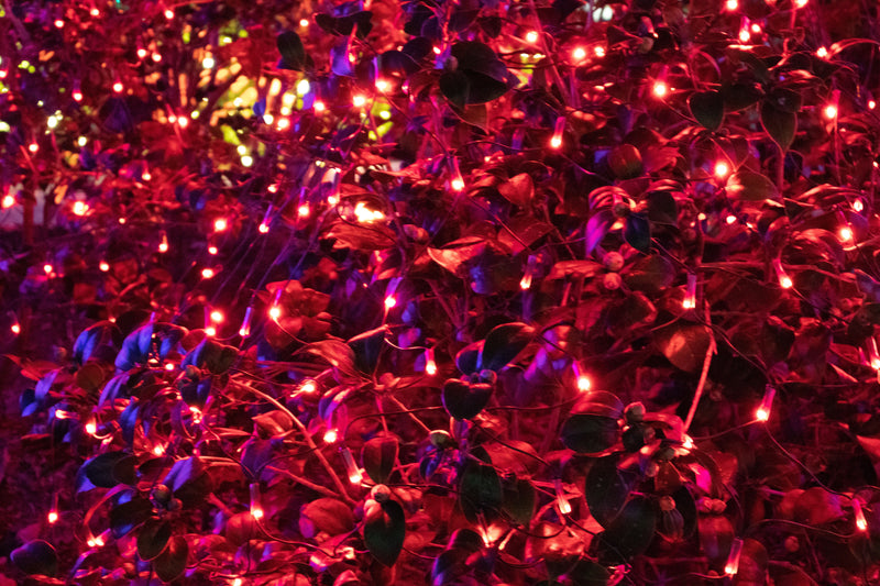 red LED net lights