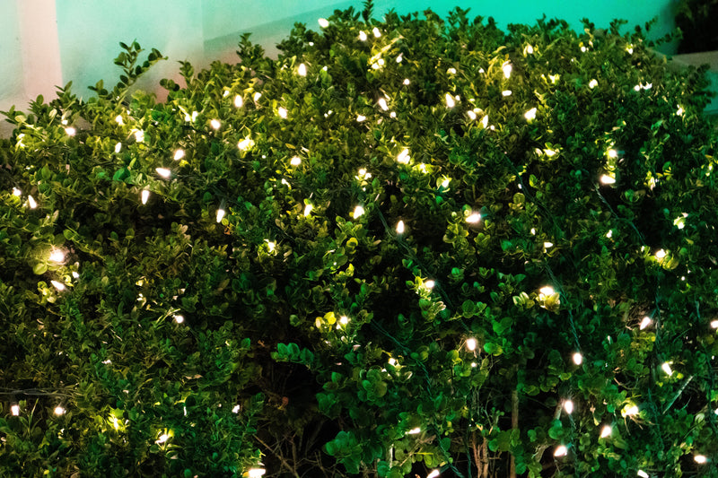 warm white net lights