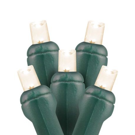 50L 5mm LED Christmas lights warm white