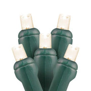 35 count 5mm LED Christmas lights Warm White