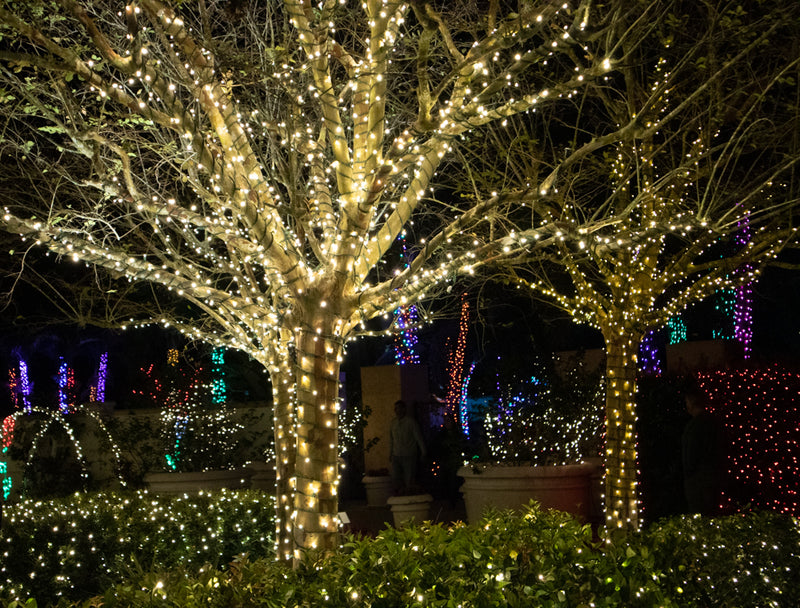 warm white lights branch wrapped
